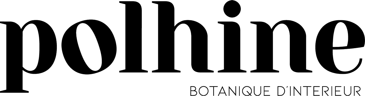 LOGOPOLHINE Harmonie <span class="titresec">Jade Roller & Polhine</span>